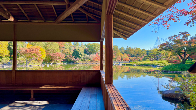 昭和記念公園紅葉2025