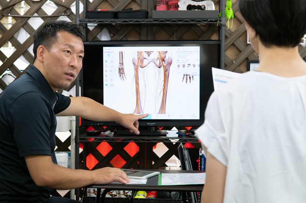 カイロプラクティックによる関節機能の説明