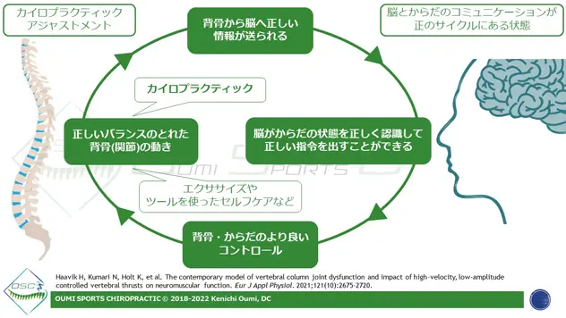 OSCコラム～Unlock Your Spine～ ドクターオブカイロプラクティック