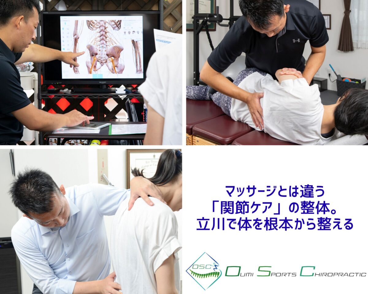 石川町～本牧の整体マッサージは【口コミNO.1】山手カイロプラクティック整体院 手関節 肘関節の模型！整体 整骨院 カイロ マッサージ